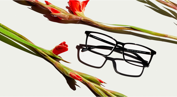 We are making our mark on the eyewear industry with our glasses offered at an all-inclusive price